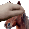 1716148997634950
