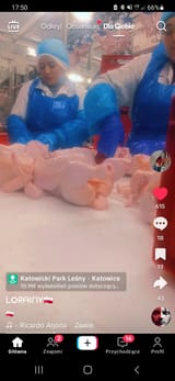 Screenshot_20250616-175001_TikTok