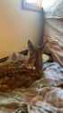 VID_20250607_095319_091_thumb.jpg