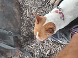 IMG_20250616_111811138