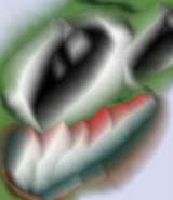 16462372205310