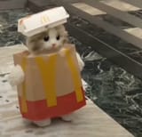 mc kot