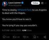 Laura palantir