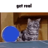 1750095442374439