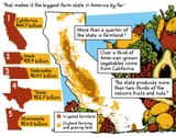 Water_Agriculture_slice2