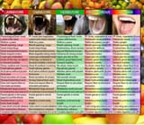 teeth
