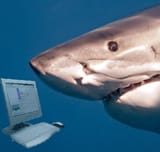shark poster2