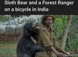 sloth_bear_and_forest_ranger_on_bicycle