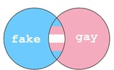fake-and-gay