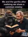 talmud_gorilla_thumb.jpg