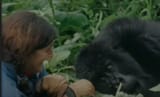 Digit and Fossey