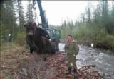 bear_w_crane