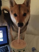 straw