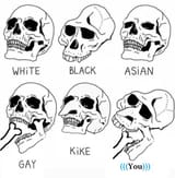 1582910170227