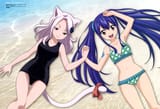 yande.re 1188073 animal_ears bikini charle fairy_tail hokkaido_azmacy_inc. nekomimi school_swimsuit swimsuits tail tattoo wendy_marvell