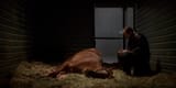 Pie-o-my-Sopranos-horse-Tony-2
