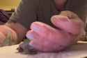 1687254978744_thumb.jpg