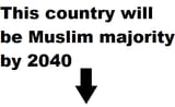1744812721349