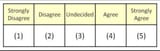 Likert-Scale-e1675847406168-1