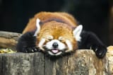 shutterstock_51111274