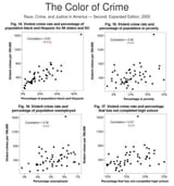 race_crime_2005