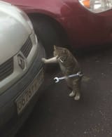 mechanicat