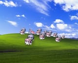 +_5475aef7102eb081ca033c7f20c489c8