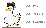 fuck jews niggers and kikes