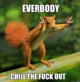 everybody chill tf out