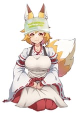 SenkoCamo