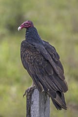 IMG_2547