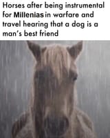 forgotten