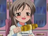 Corm Appreciator