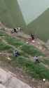Tranquil Fishing in China (no audio) (2MB)_thumb.jpg