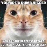 1733547972463890
