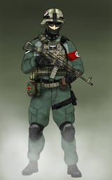 Modern Wehrmacht