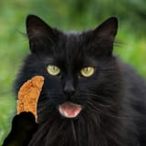 CrackersTendie