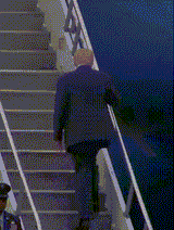 TrumpTrip