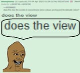 doestheview