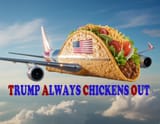 TACO8