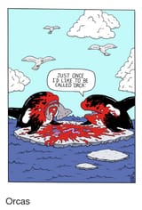 Killer Whales
