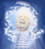 mccain