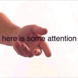 16068730212572980499164300351094