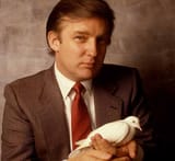 President of Peace