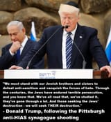 zion don 6