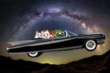 cadillaceldorado copy