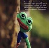 a_frog_for_thought