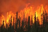 fire-3