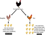 hen