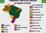 dominant-ancestral-groups-by-states-in-brazil-grupos-v0-azywtxldat3d1